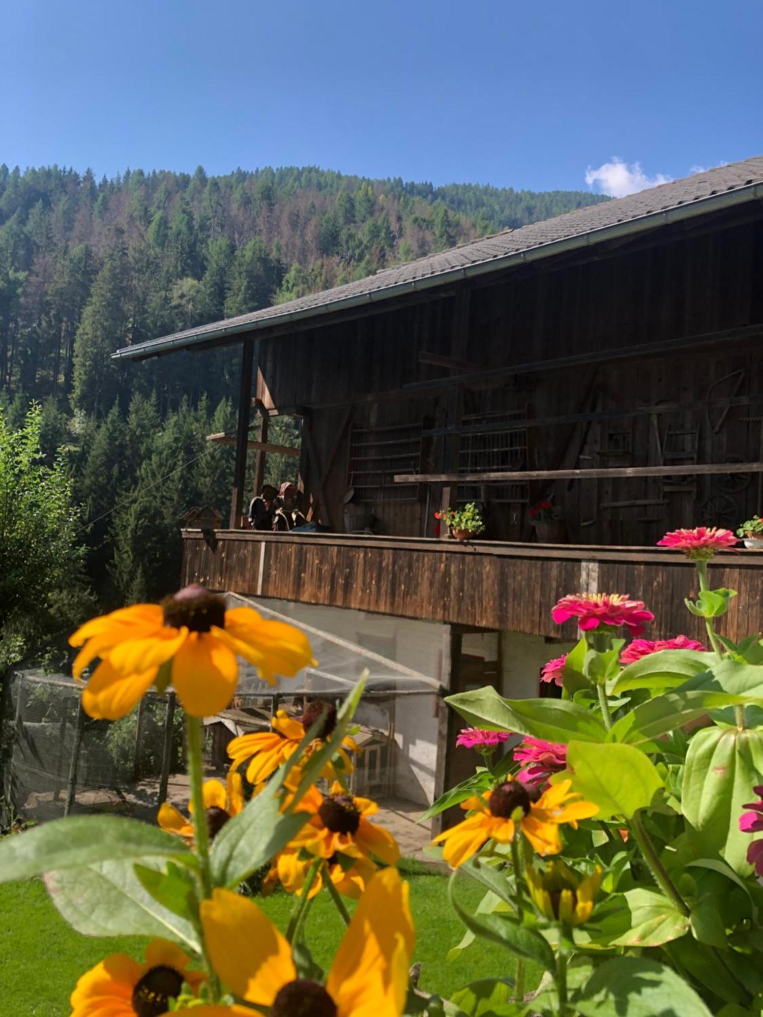 Thalerhof Lägenhet San Lorenzo di Sebato Exteriör bild