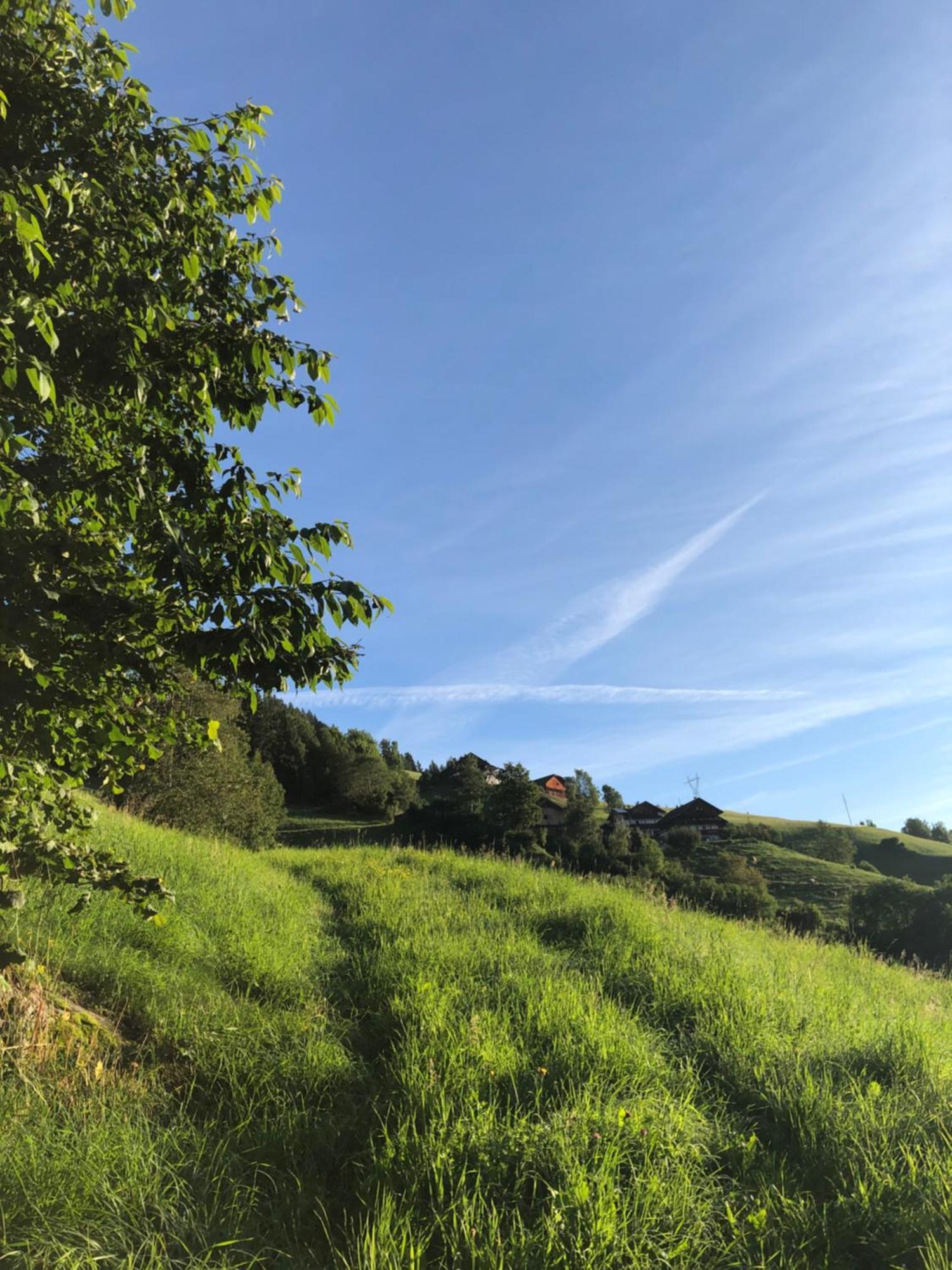 Thalerhof Lägenhet San Lorenzo di Sebato Exteriör bild
