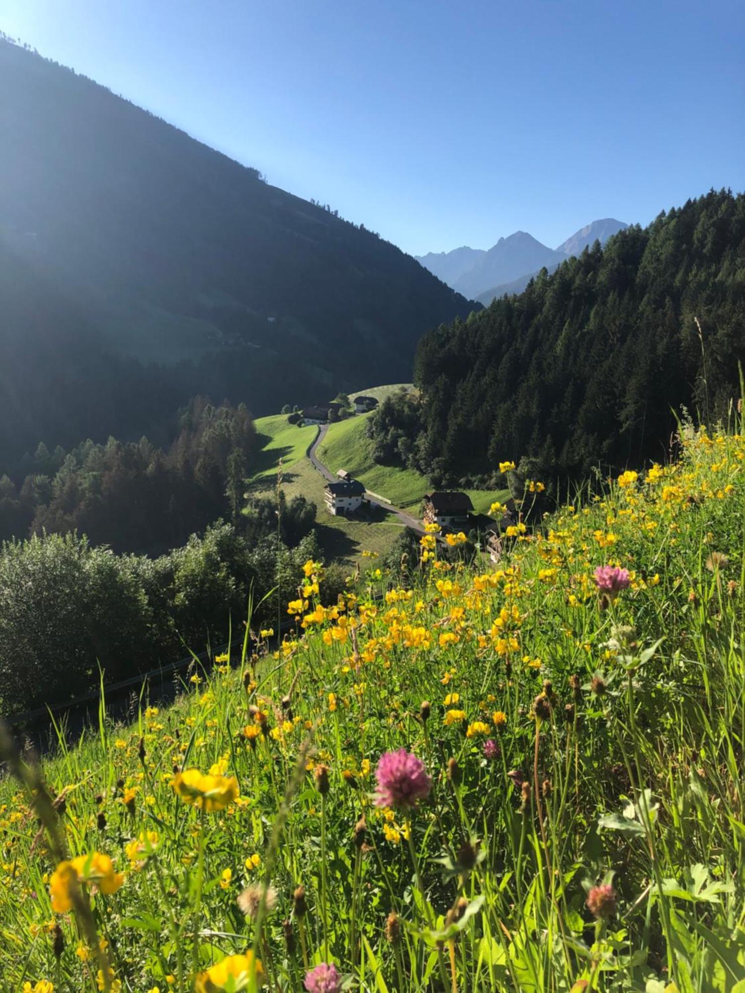 Thalerhof Lägenhet San Lorenzo di Sebato Exteriör bild