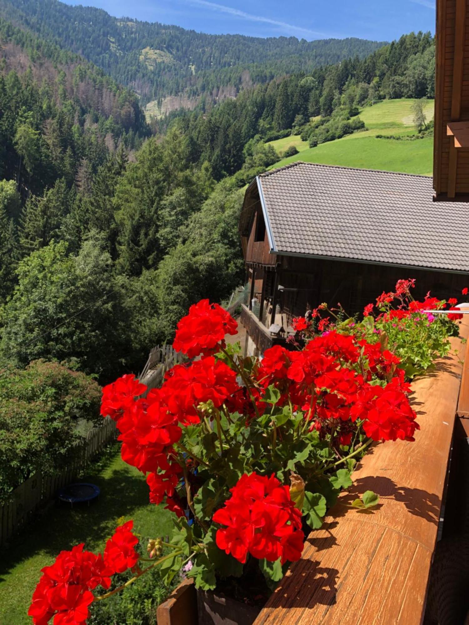 Thalerhof Lägenhet San Lorenzo di Sebato Exteriör bild