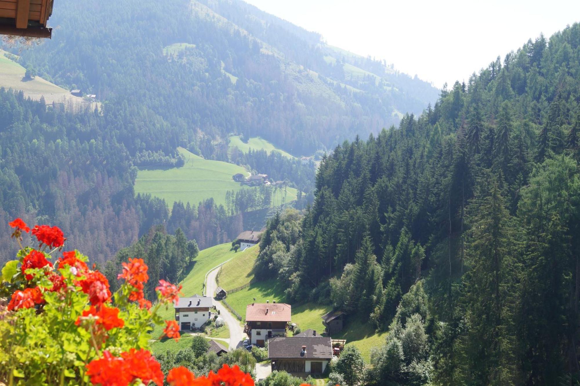 Thalerhof Lägenhet San Lorenzo di Sebato Exteriör bild