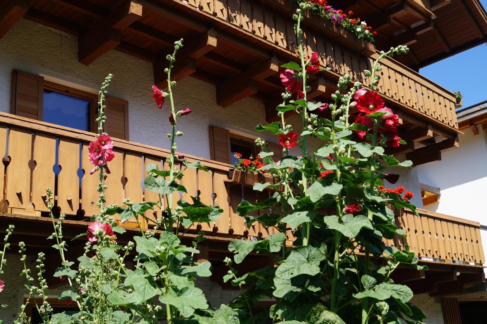 Thalerhof Lägenhet San Lorenzo di Sebato Exteriör bild