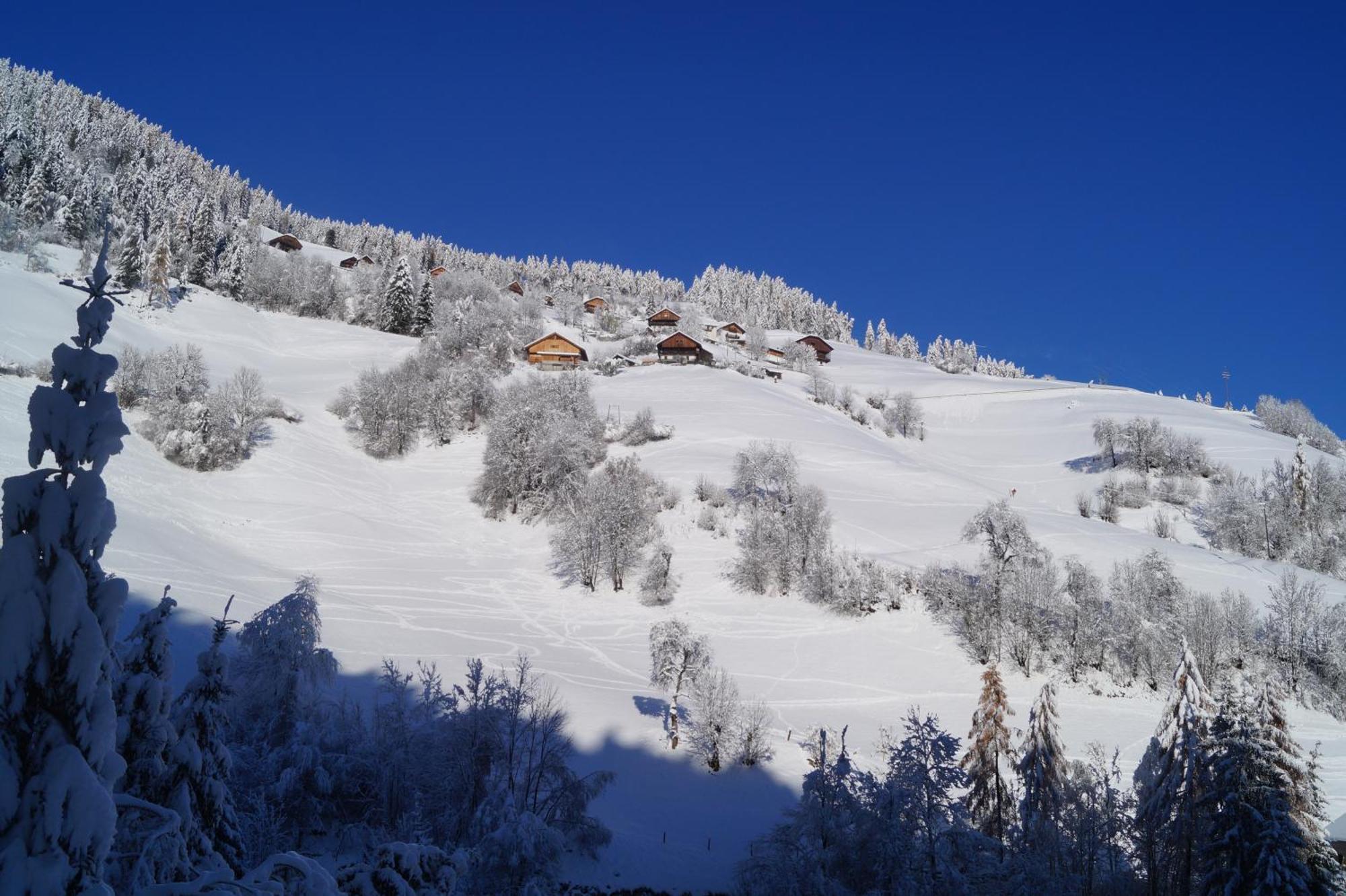 Thalerhof Lägenhet San Lorenzo di Sebato Exteriör bild